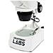 LABS S10-60 60x Microscopio ottico - Foto miniatura 9