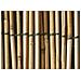 Rotolo Arella Rete Recinzione Canna Bamboo Cannette Frangivista Naturale 120x300 Arella - Foto miniatura 4