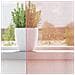 Tende In Voile Con Tasche Per Aste 2 Pz Rosa - Foto miniatura 2