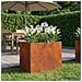 Vaso da giardino Ruggine 50 x 40 x 50 cm Acciaio Corten - Foto miniatura 2