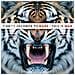 30 Seconds To Mars - This Is War - Foto miniatura 1