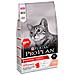 Pro Plan Adult Con Salmone 1,5 Kg - Foto miniatura 1