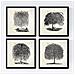 Set Di 4 Stampe Fogli Di Alberi. Salici , Sfondo D'epoca Vecchia Carta Poster Di Carta 250 Gr E Gli Inchiostri Di Alta Qualità. Senza Cornice 20x20 Cm - Foto miniatura 1