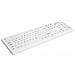 Ak-c8100f-uvs-w /uk Tastiera Usb Qwerty Inglese Uk Bianco - Foto miniatura 2