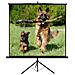 Teli Proiettori New Junior 160x160 cm - Foto miniatura 1