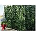 3mt Edera Finta Sempreverde Siepe Foglie Ornamentali Frangivista Coprente Per Recinzione 1h Mt 3mt - Foto miniatura 3