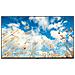 TV LED Ultra HD 4K 65" 65UM767H0LJ.AEU Smart TV WebOS - Foto miniatura 1