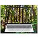 OmniBook 5 Laptop Next Gen AI 16-ag1023nl Copilot+ PC AMD Ryzen AI 7 350 Computer portatile 40,6 cm (16") 2K 16 GB LPDDR5x-SDRAM 1 TB SSD Wi-Fi 6 (802.11ax) Windows 11 Home Argento - Foto miniatura 17
