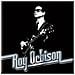 Roy Orbison: Face (magnete)  - Foto miniatura 1