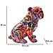 Bulldog Psyco In Resina Multicolore - Foto miniatura 8
