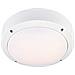 Giardino Lampada A Soffitto 1 x 10 w Led / luna 106536 markslojd - Foto miniatura 1