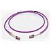 CAVO PATCH IN FIBRA OM4 LSZH LC /LC 50 M - VIOLA - Foto miniatura 1