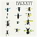 Syd Barrett - Barrett - Foto miniatura 1