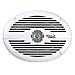 MR690, A muro / a soffitto, 2,54 cm (1") , 2,54 cm, 350W, 60 - 20000 Hz, 4 Ohm - Foto miniatura 1