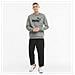 Ess Big Logo Crew 58667803, Uomini, Grigio, M - Foto miniatura 11