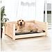 Cuccia Per Cani 75,5x55,5x28 Cm In Legno Massello Di Pino - Foto miniatura 2