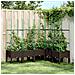 Fioriera Giardino Con Graticcio Marrone 160x120x142,5 Cm In Pp - Foto miniatura 7