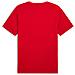 Ess Logo Lab Summer Tee 68467111, Uomini, Rosso, M - Foto miniatura 2