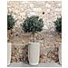 Vaso Per Piante Zelkova 35 Cm Beige Chiaro - Foto miniatura 1