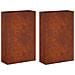 Vaso da giardino 2 pz Ruggine 40 x 20 x 75 cm Acciaio Corten - Foto miniatura 1