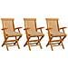 Sedie da Giardino con Cuscini Beige 3 pz Massello di Teak - Foto miniatura 1