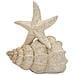 Scultura Stella Marina Sand In Resina Beige - Foto miniatura 1