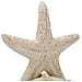 Scultura Stella Marina Sand In Resina Beige - Foto miniatura 4