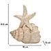 Scultura Conchiglie-beige-poliresina-18x13x21,2 Cm - Foto miniatura 7