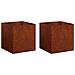 Vaso da giardino 2 pz Ruggine 45 x 45 x 45 cm Acciaio Corten - Foto miniatura 1
