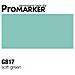 G817 Promarker Soft Green - Foto miniatura 1