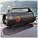 SPBB310BK altoparlante portatile e per feste Altoparlante portatile stereo Nero 36 W - Foto miniatura 23