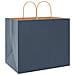 Sacchetti di Carta 250 pz con Manici Blu 32x22x28 cm - Foto miniatura 5
