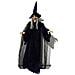 Halloween Motore Figura della Strega con Suono e LED - Foto miniatura 1