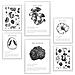 Set Di 6 Stampe Foglio Decorativo Con Composizione Di Funghi In Bianco E Nero Con Illustrazione Di Design Per Decorare L'ufficio Domestico A3 & A4 Cornice Bianca - Foto miniatura 1