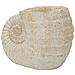 Vaso Shell Sand In Magnesio Beige A Forma Di Conchiglia - Foto miniatura 3