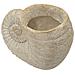 Vaso Shell Sand In Magnesio Beige A Forma Di Conchiglia - Foto miniatura 4