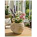 Vaso Shell Sand In Magnesio Beige A Forma Di Conchiglia - Foto miniatura 7