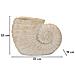 Vaso Shell Sand In Magnesio Beige A Forma Di Conchiglia - Foto miniatura 8