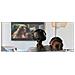 M-288 CTV cuffia e auricolare Con cavo e senza cavo A Padiglione TV Bluetooth Nero - Foto miniatura 4