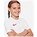 T-Shirt Dry Park Vii Jr Bv6741-103 Bambino Taglia S Colore Bianco /Rosso - Foto miniatura 2