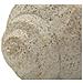 Vaso Decorativo Shell Sand In Magnesite Effetto Pietra - Foto miniatura 5