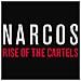Curve Games Narcos : Rise of the Cartels Standard PlayStation 4 - Foto miniatura 1