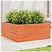 Fioriera Giardino Marrone Cera 110x110x46cm Legno Massello Pino - Foto miniatura 1