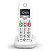 E290 Cordless Display 2" Vivavoce Colore Bianco - Foto miniatura 1