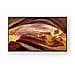 TV LED Ultra HD 4K 43" KD43X75WLPAEP Android TV 2023 Nero - Foto miniatura 3