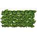 Schermo per balcone con foglie Verde e Giallo 300 x 75 cm - Foto miniatura 3