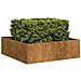 Fioriera Arrugginita 100x100x30 Cm In Acciaio Corten - Foto miniatura 1