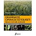 Pasquale Viggiani - Graminacee, ciperacee ed equiseti nelle colture agrarie. Botanica e riconoscimento - Foto miniatura 1