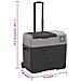 Borsa Frigo con Ruote Adattatore Nera Grigia 30 L Polipropilene - Foto miniatura 3
