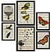 Set Di 6 Stampe Poster Musicali In Stile Cartaceo Vintage Con Sfondi Enciclopedici, Natura E Volo, Uccelli E Farfalle A3 & A4 Cornice Nera - Foto miniatura 1